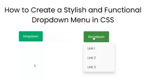 Read more about the article How to Create a Stylish and Functional Dropdown Menu in CSS